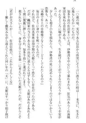 戦国犬姫!