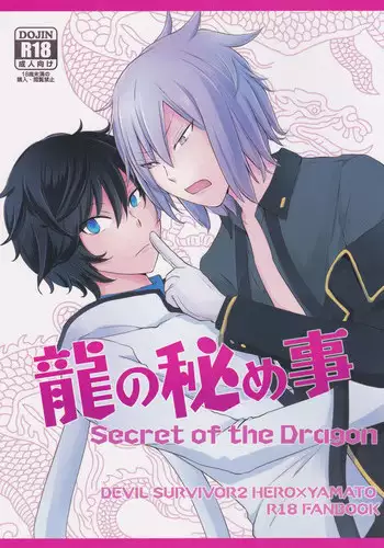 (SUPERKansai19) [8days (Kuon Marino)] Ryuu no Himegoto (Devil Survivor 2)