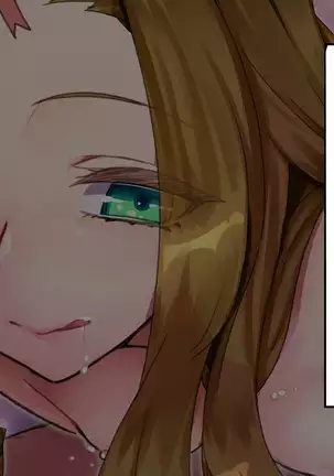 TS Mesu Dorei e no Kaizou