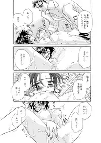 Darenimo Ienai Maru himitsu + vol.12