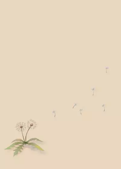 [Tortoiseshell (Kinku)] Tanetsuke Kojiin [Chinese] [山樱汉化] [Digital]