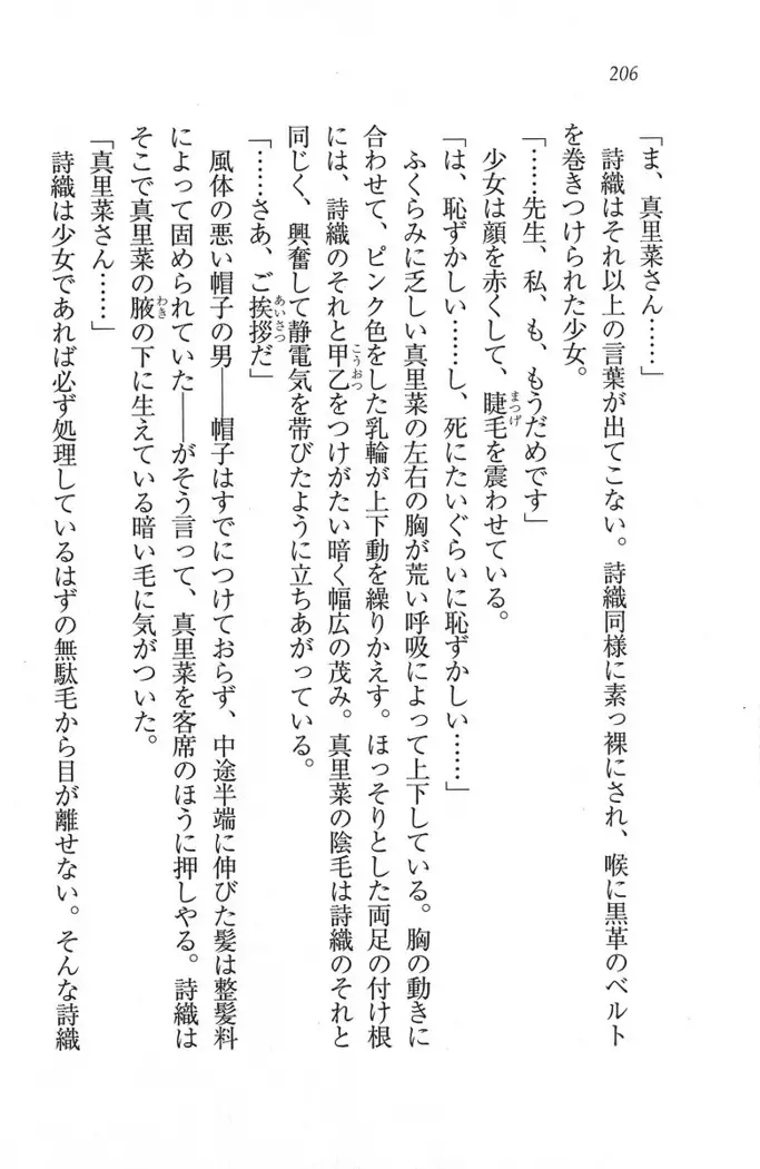 解放区~痴漢ハーレム