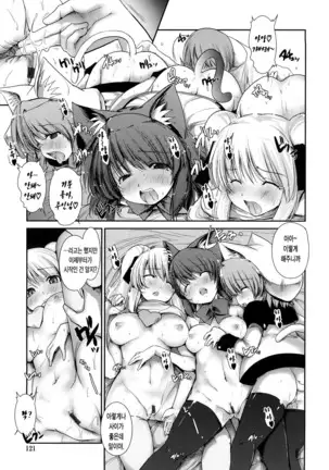 Nekokino to Ame no Machi