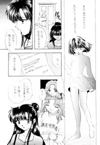 (C51) [Sailor Q2 (Ryö)] SFW Sailor Q2 Fuckin' Works (Bishoujo Senshi Sailor Moon)