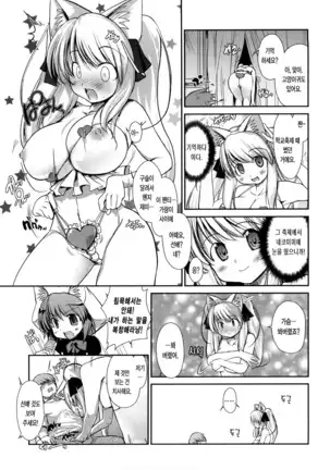 Nekokino to Ame no Machi