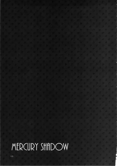 MERCURY SHADOW Soushuuhen+α