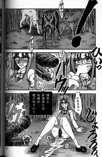 [RunRunRun PCH (Merubo Run)] Inu no hon (A Book on Dogs)