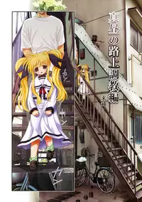 (C75) [STUDIO HUAN (Raidon)] New Fate-chan. Mahiru no Rojou Choukyou Hen ALL Full Color Soushuuhen (Mahou Shoujo Lyrical Nanoha)