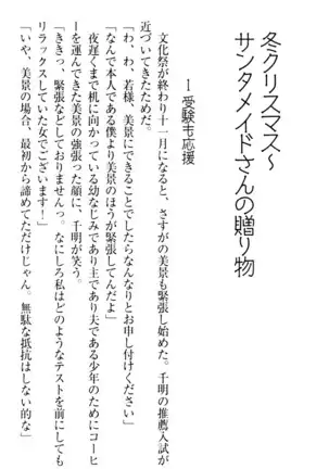 年上メイドの新婚日記