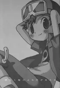 (C66) [KuruGuru DNA (Hoshiai Hilo)] Kemu Haku Ryuu no yo na Akari ga Mieru (Digimon Frontier)