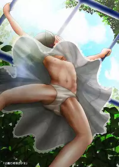 Normal Character no Kimochi + Chippai Shoujo no Shuuchi Illustration Shuu