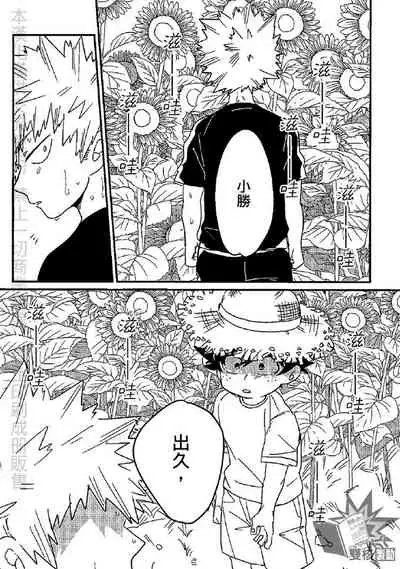 (Douyara Deban no Youda! 17) [Ultimate safaripark (Horiuchi Mochiko)] Saraba Itoshi no (Boku no Hero Academia) [Chinese]