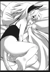 (C86) [Animal Passion (Yude Pea)] Tanuki Yamabiko Juuban Shoubu | Tanuki vs. Yamabiko, 10 rounds match (Touhou Project) [English] [Tabunne Scans]