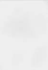 (C63) [Intendou] Saotome Gumi 2 (Kochikame)