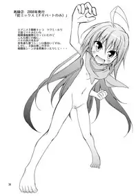 (SC57) [Nihon Dandy (Matsuno Susumu)] Nagi Ojousama no Yuukai Houdou (Hayate no Gotoku)