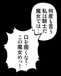 [Shippo Banchou] Mahou Shoujo Nano IV - Rekka and Raikou - (Mahou Shoujo Lyrical Nanoha)