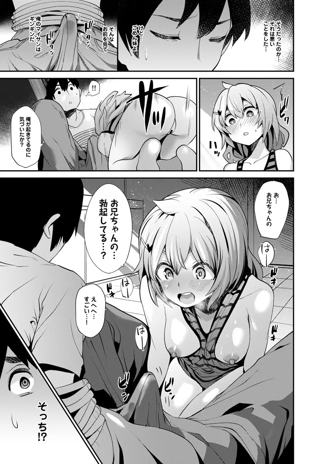 Hikkoshisaki ni Otoko wa Ore dake!? ~Imouto to Ritou de Futarigurashi Hajimemashita~