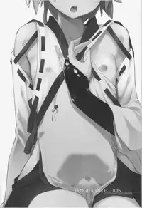 (Reitaisai 12) [Eclipse, Mochi-ya, Hannama (Rougetu, Karochii, Soine)] TENGU COLLECTION (Touhou Project)