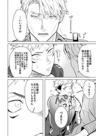 Ecchi wa otona ni natte kara tsu!