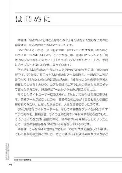 いますぐデキる 図説SMプレイマニュアル