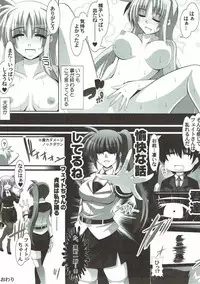 (C92) [Aquarius Gate (Engo)] Inran Fate-san to Dousei Shite Mitai! (Mahou Shoujo Lyrical Nanoha)