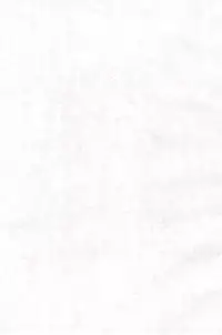 (C59) [Hikagemono (Hikage Tetsuo)] Tamanegibatake 1+2+