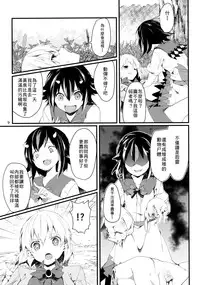 (C89) [Tetsu no Otoshigo (Chirorian)] Sagi no Koe Hibiku (Touhou Project) [Chinese] [草根妖怪汉化组]