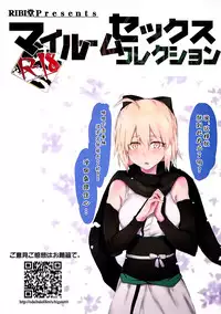 (C92) [RIBI Dou (Higata Akatsuki)] My Room Sex Collection (Fate/Grand Order) [Chinese] [靴下汉化组]