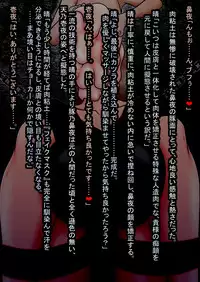 [Touyu Stand (Touyu Black)] Ingoku no Shuujin Shokei Ganmen Hakai Kaizou -Amano Ichiyo-