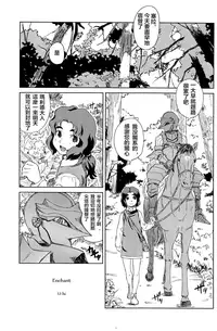 Enchant（theoldestcat汉化）