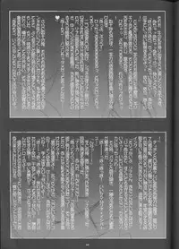 (C55) [Barricade (Nishizaki Byouya)] Aara-ISM (Slayers)