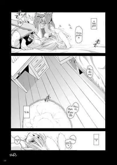 [Digital Lover (Nakajima Yuka)] DL-RO Soushuuhen 02 - DL-RO Perfect Collection No. 02 (Ragnarok Online) [Digital] [English]