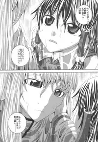 (C75) [Sekai Chizu wa Chi no Ato (jude)] Phlox X Crocus (Touhou Project)