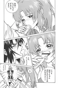 (C68) [Human High-Light Film (Ankoku Daimaou)] Meer to Lunamaria to Meyrin (Gundam SEED DESTINY)