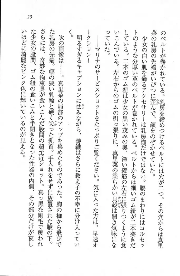 解放区~痴漢ハーレム