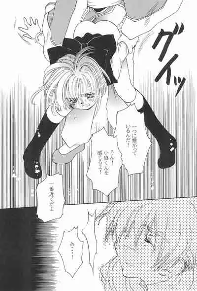 [Ichigo-chan Milk-chan (Zaha Torute, Abe Ryu)] Shaoran-kun to Issho. (Cardcaptor Sakura)