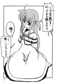 [Thirty Saver Street 2D Shooting (Maki Hideto)] Storage Ignition 9 (Mahou Shoujo Lyrical Nanoha) [Digital]