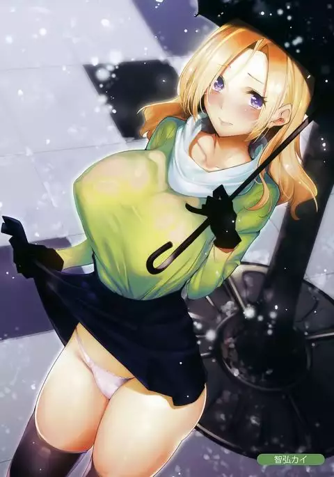 MELONBOOKS C93 Collection of Pictures EX Ver. Red