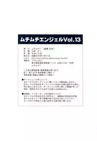 (C71) [Muchi Muchi 7 (Hikami Dan, Terada Tsugeo)] Muchi Muchi Angel Vol. 13 (Bleach) [English] [Trinity Translations Team] [Incomplete]