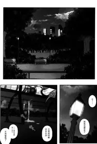 (C89) [Cyclone (Izumi, Reizei)] T-25 HAOOON (Mahou Shoujo Lyrical Nanoha) [Chinese] [魔法猪汉化]　