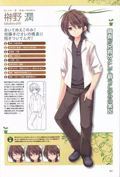Hare Nochi Kitto Nanohana Biyori Visual Fanbook