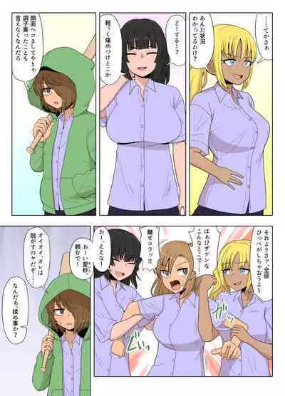 Kinpatsu Bakunyuu Yankee ga Ginpatsu Bakunyuu Yankee ni Ijimerarekko o NTR reru? Hon