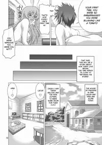 (C73) [GOLD RUSH (Suzuki Address)] A Diva of Healing IV (Gundam SEED DESTINY) [English] [EHCOVE]