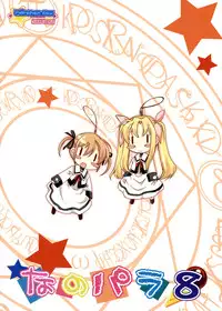 (C78) [Marchen Box] Nano Para 8 (Mahou Shoujo Lyrical Nanoha)