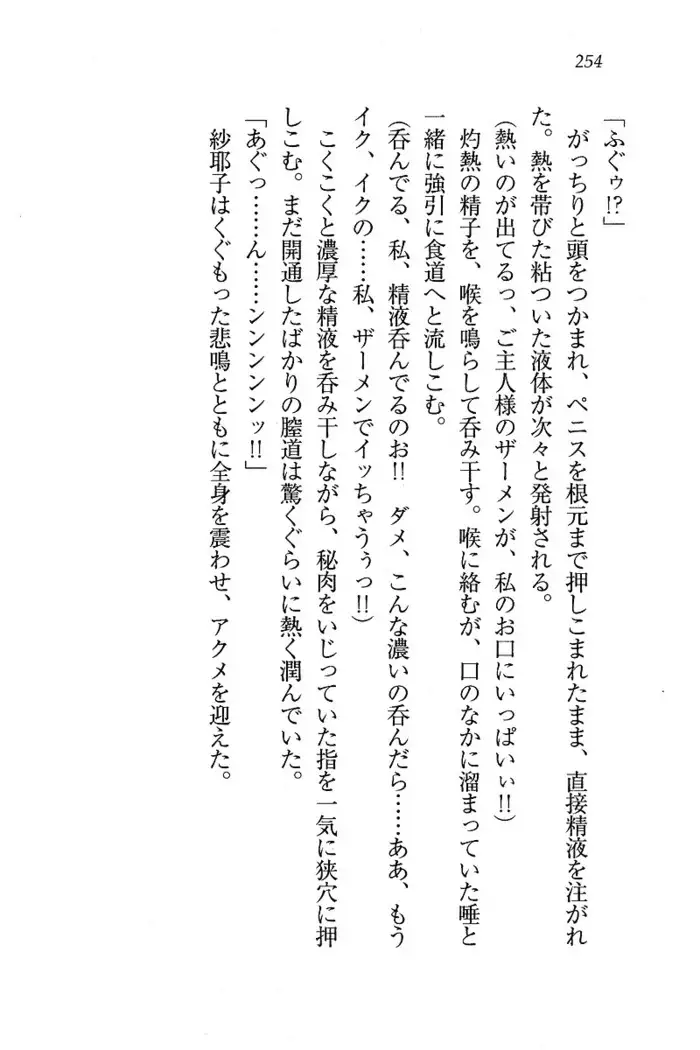 メイドなります ! ~おしおき