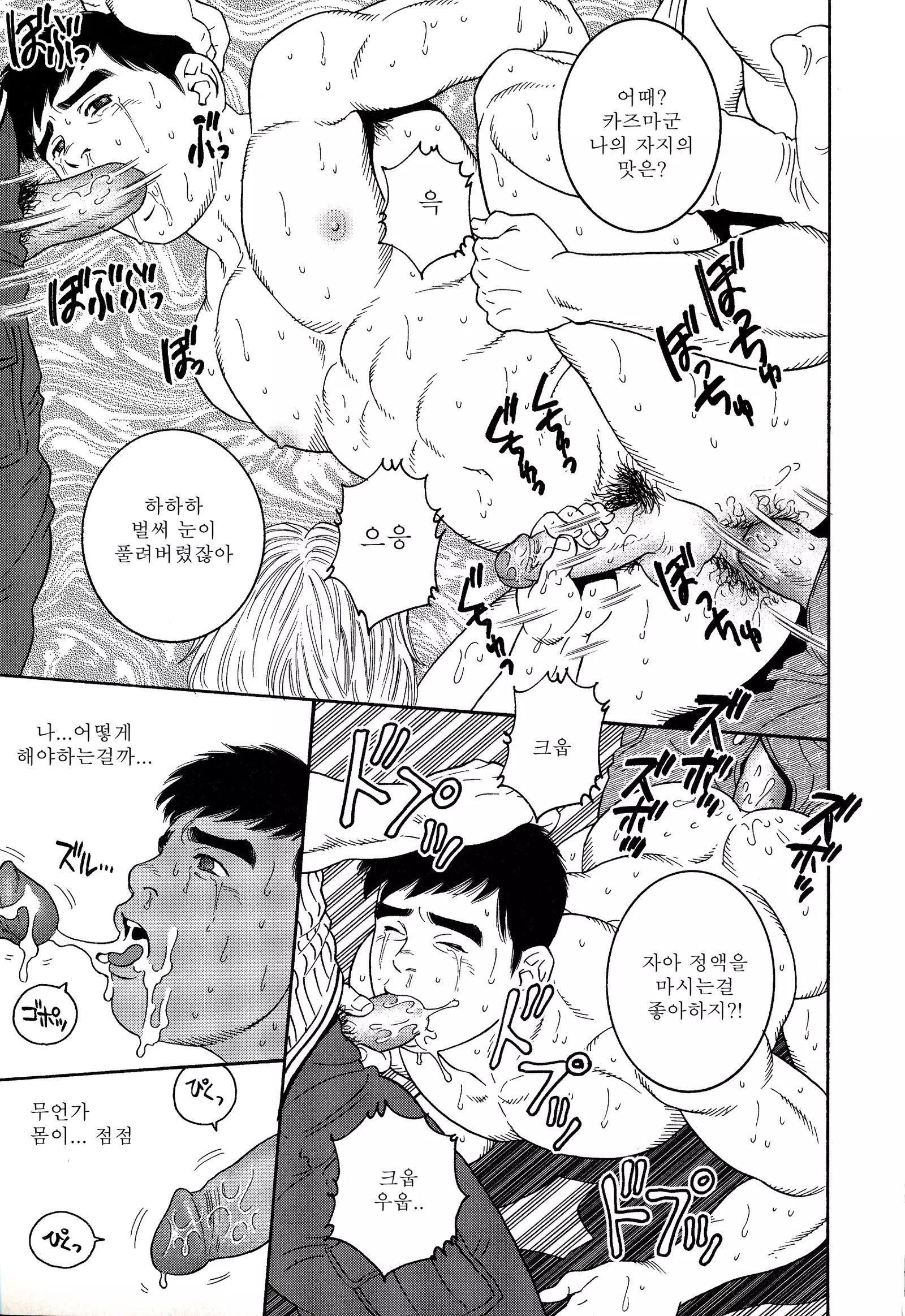 TRAP - Another Translation Version