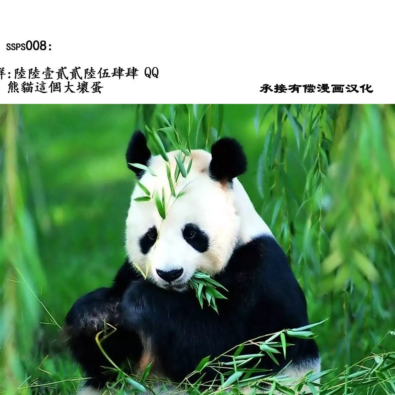 Kora! Anta Hahaoya ni Hatsujou shite Nani shiyoutte Iu no!