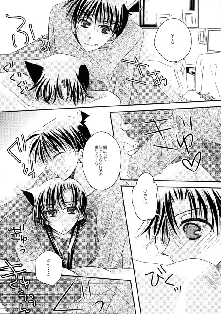 MACARON-CHOCOLAT-DOLCE