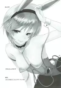 (C84) [Akari wa Honnori Tomoreba Ii (Kurokuro)] Bunny Satorin ga Ganbaru Hon (Touhou Project)