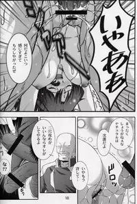 (CR33) [Studio Wallaby (Takana Yu-ki)] SECRET FILE NEXT 6 (Kidou Senshi Gundam SEED)